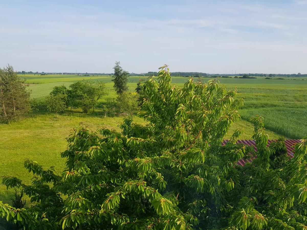 Silence Villa Szydlowice Eksteriør bilde